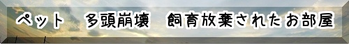 ペット飼育崩壊されたお部屋